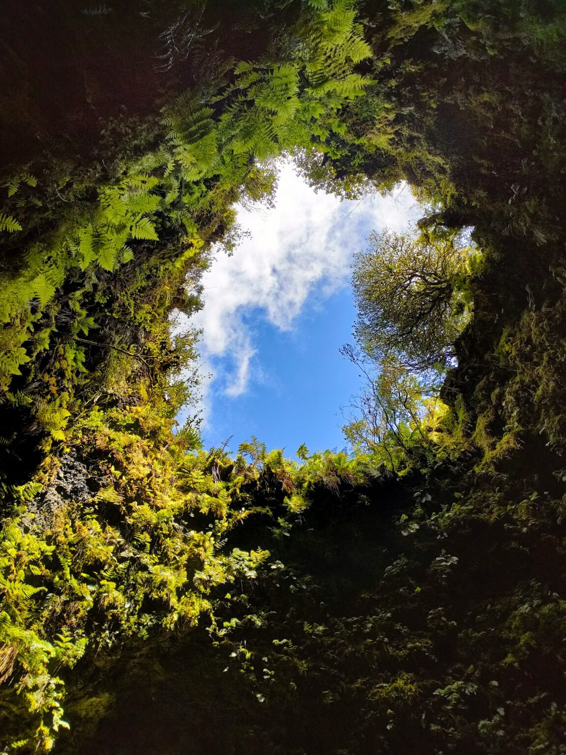Terceira, wulkan Algar do Carvão