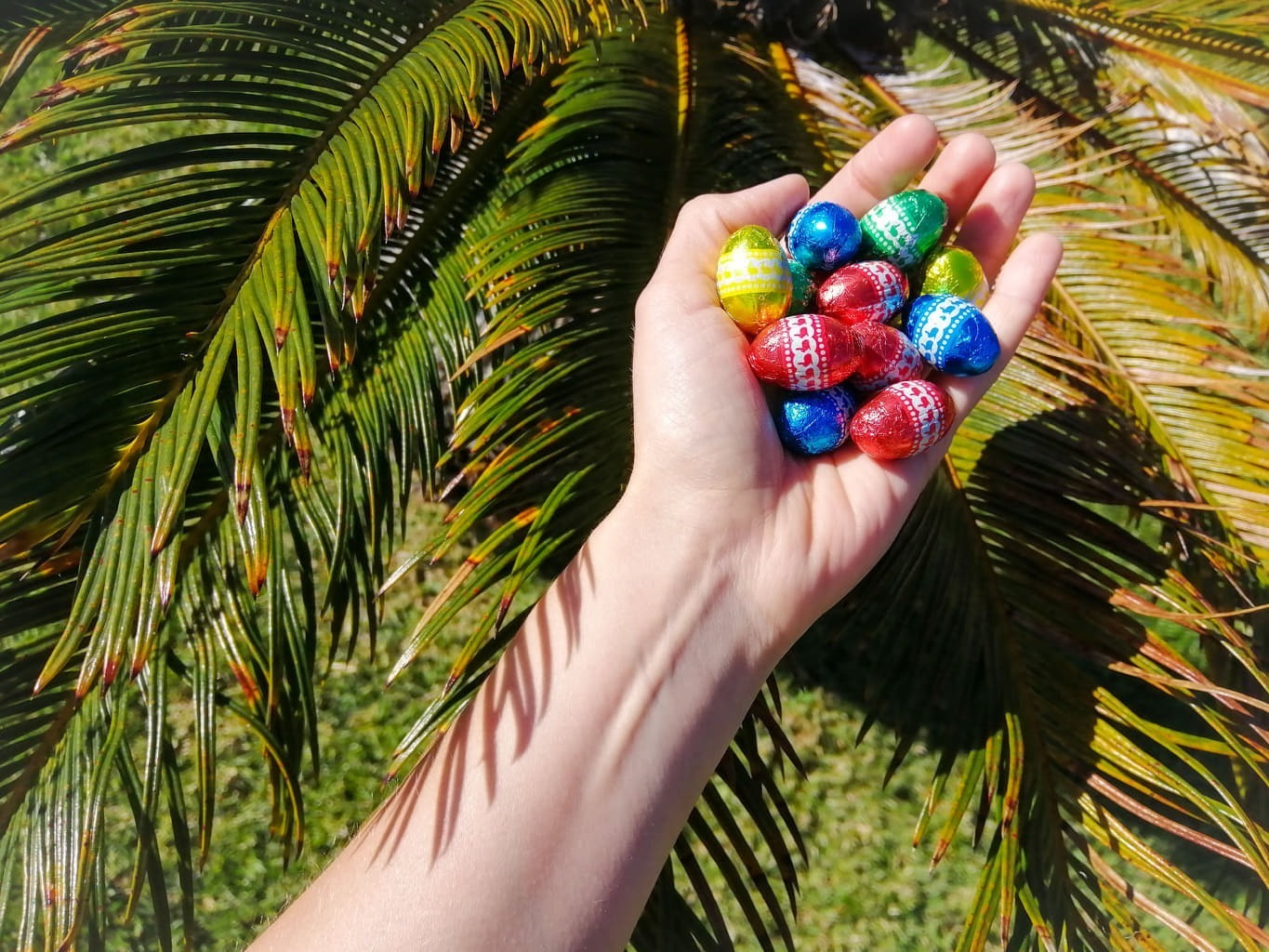 Wielkanoc, Wielkanoc na Terceirze, Easter, Easter in Terceira, amendoins doces, czekoladki, jajka czekoladowe, chocolate eggs,
