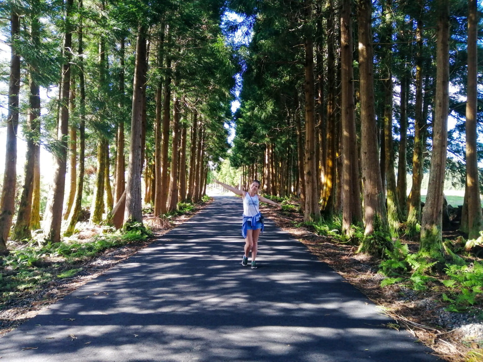Azory, Azores, Terceira, trail, szlak, trilho, droga, caminho, estrada, Milena, las, drzewa