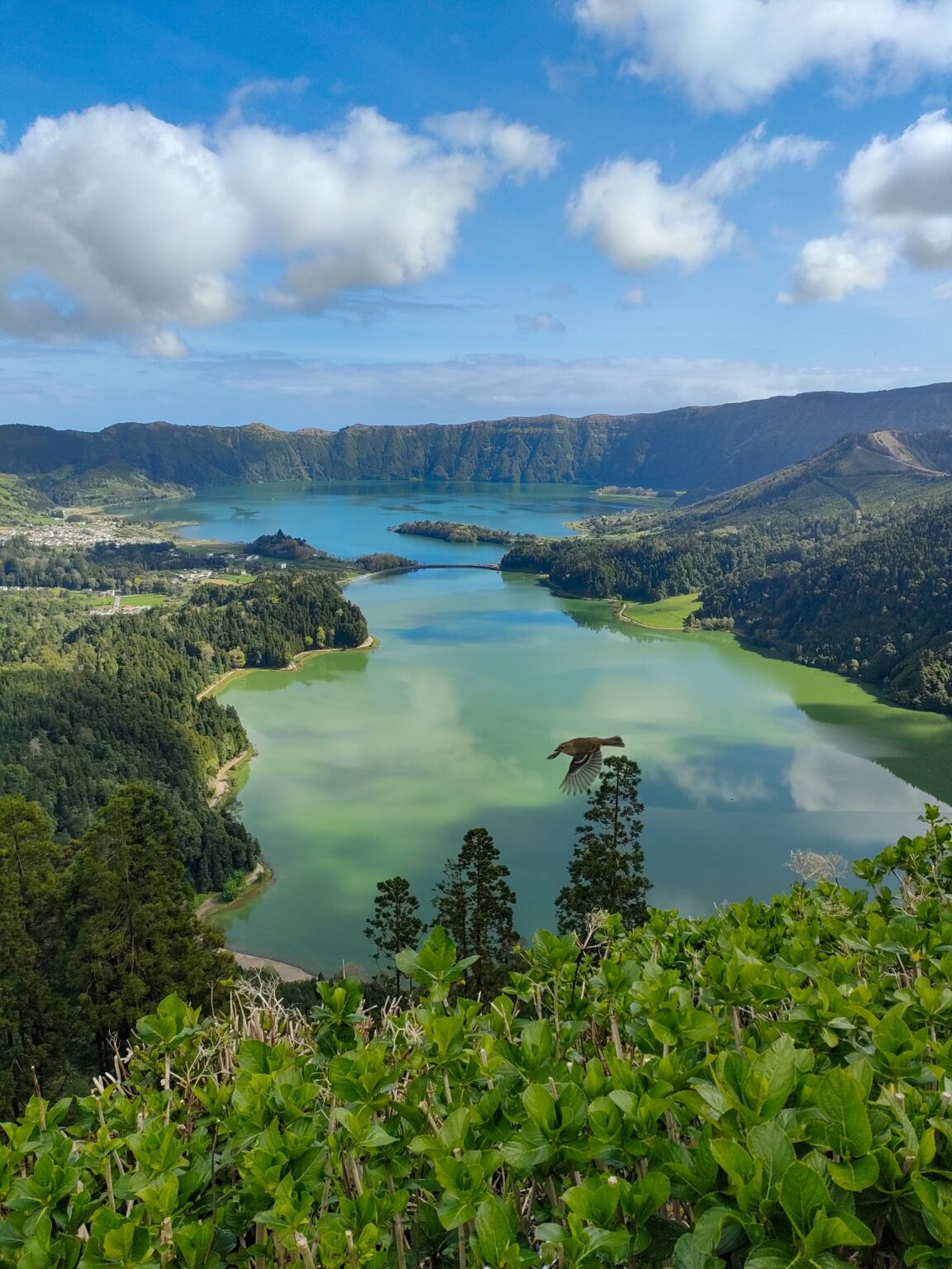 Jezioro Lagoa das Sete Cidades